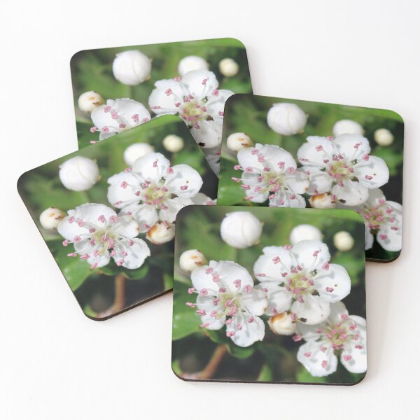 Item preview, blossom designed and sold by KathleenDawson.