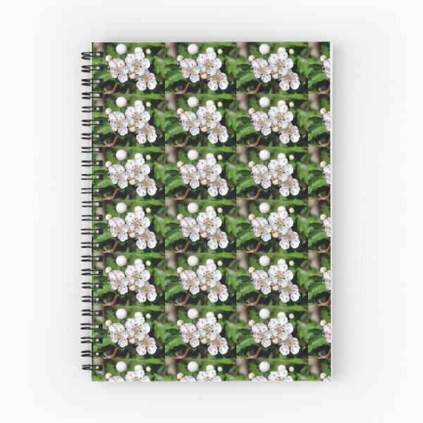 Item preview, blossom designed and sold by KathleenDawson.
