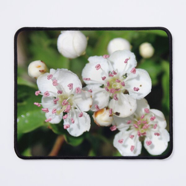 Item preview, blossom designed and sold by KathleenDawson.