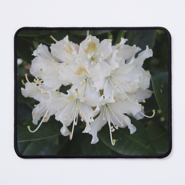 Item preview, flowers designed and sold by KathleenDawson.