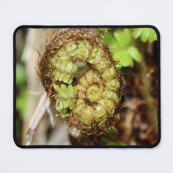 Item preview, fern designed and sold by KathleenDawson.