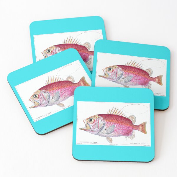 Item preview, Straighthead-Soldierfish designed and sold by hec60504.
