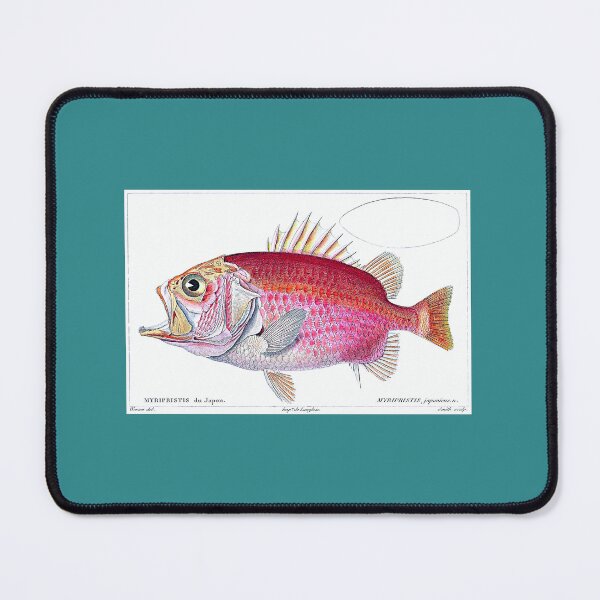 Item preview, Straighthead-Soldierfish designed and sold by hec60504.