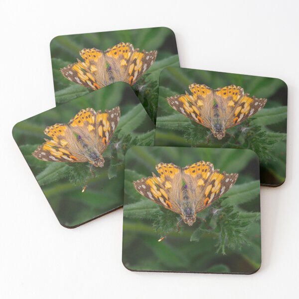 Item preview, Tattered Painted Lady Butterfly designed and sold by Ralph Goldsmith.