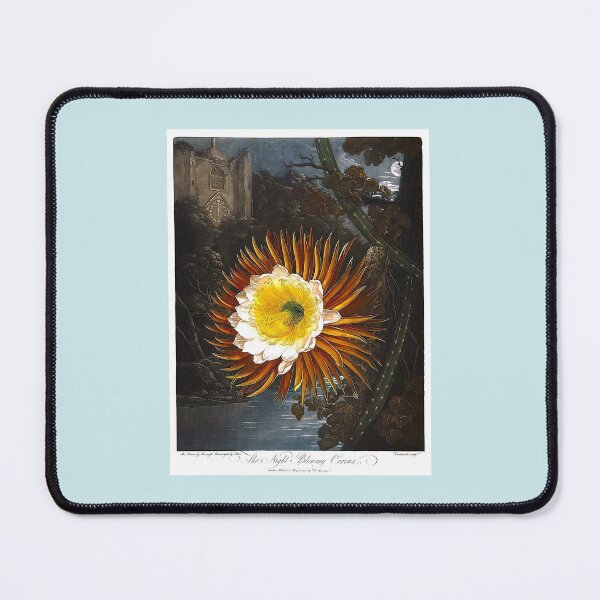 Item preview, Selenicereus-Grandiflorus Flower designed and sold by hec60504.