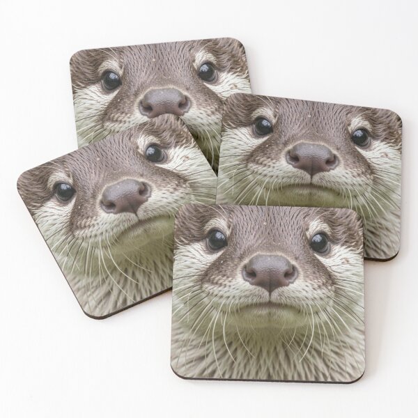 Item preview, Otter designed and sold by Kirrindy Designs.