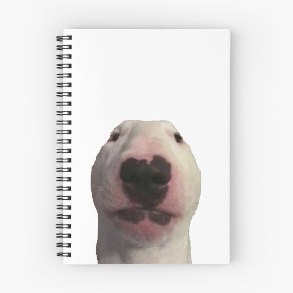 Item preview, bull terrier funny sticker designed and sold by Kajzu.