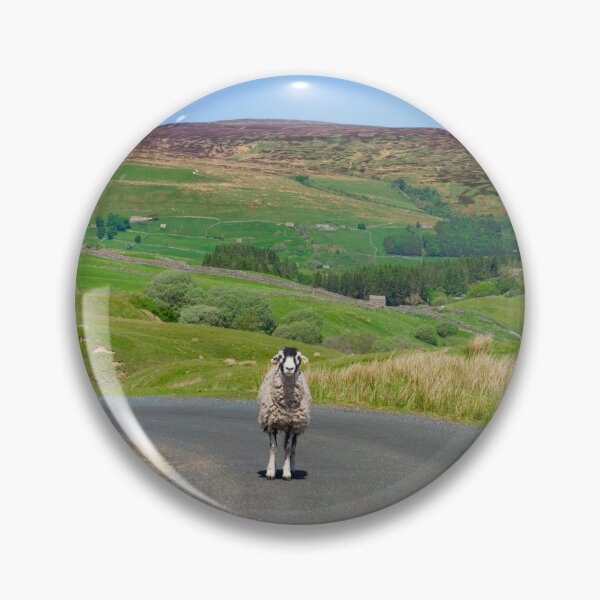 Item preview, Swaledale Sheep designed and sold by Alisonchambers2.