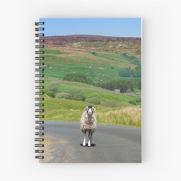 Item preview, Swaledale Sheep designed and sold by Alisonchambers2.