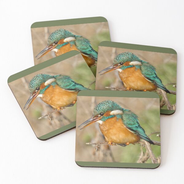Item preview, Common Kingfisher designed and sold by penguinblue.