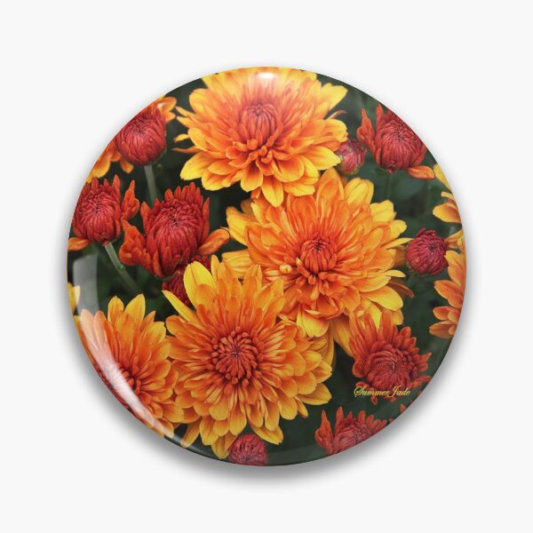 Item preview, Fall Fancy ~ Rust Color Button Mums designed and sold by SummerJade.
