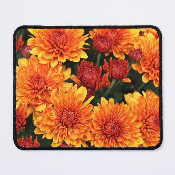 Item preview, Fall Fancy ~ Rust Color Button Mums designed and sold by SummerJade.