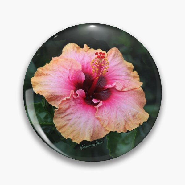 Item preview, Fancy Tri-color Hibiscus ~ Magical designed and sold by SummerJade.