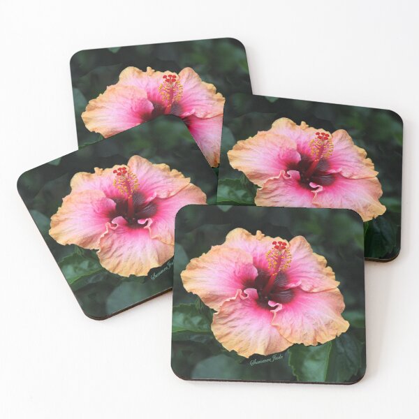 Item preview, Fancy Tri-color Hibiscus ~ Magical designed and sold by SummerJade.