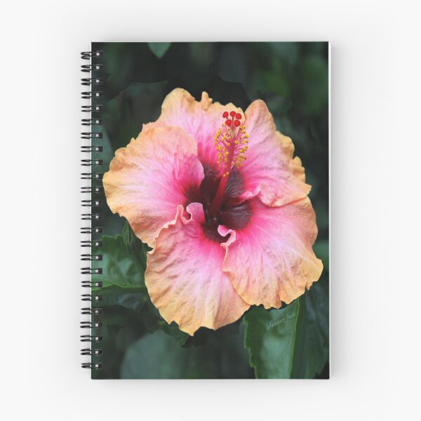 Item preview, Fancy Tri-color Hibiscus ~ Magical designed and sold by SummerJade.