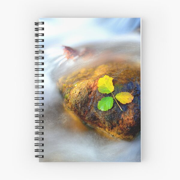 Item preview, Autumn Leaves on River Stone designed and sold by onubi.
