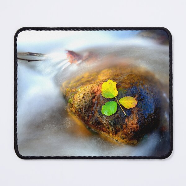 Item preview, Autumn Leaves on River Stone designed and sold by onubi.