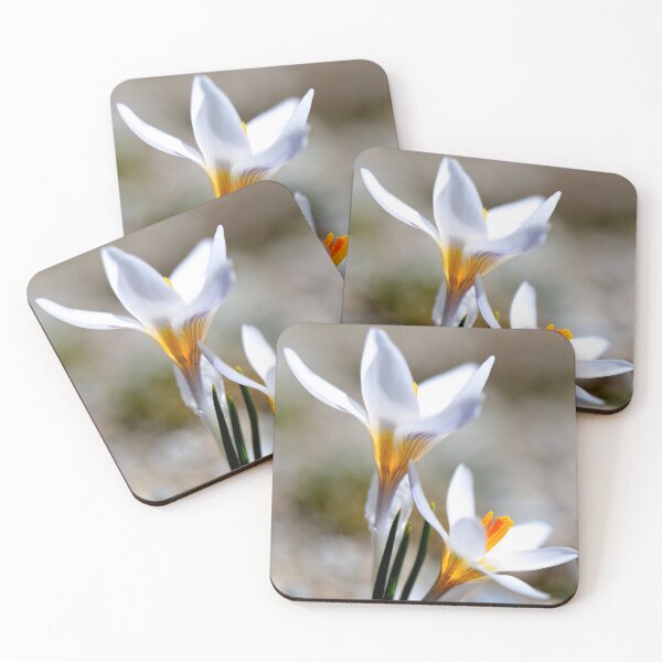 Item preview, White Crocus Bloom in Spring Light designed and sold by onubi.