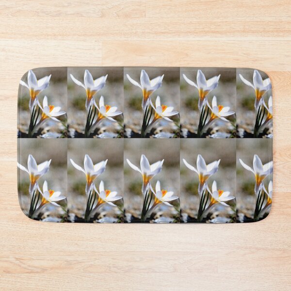 Item preview, White Crocus Bloom in Spring Light designed and sold by onubi.