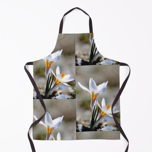 Item preview, White Crocus Bloom in Spring Light designed and sold by onubi.