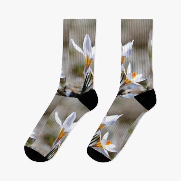 Item preview, White Crocus Bloom in Spring Light designed and sold by onubi.
