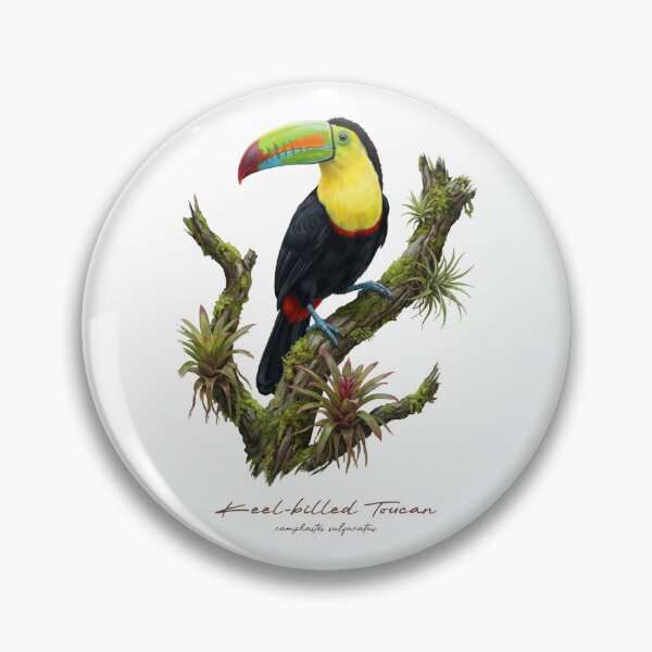 Item preview, Keel-billed Toucan on Rainforest Tree designed and sold by Takeda-art.