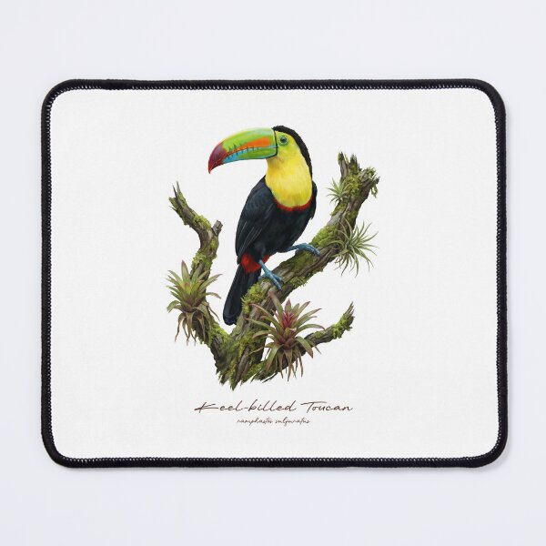 Item preview, Keel-billed Toucan on Rainforest Tree designed and sold by Takeda-art.
