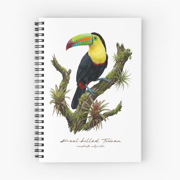 Item preview, Keel-billed Toucan on Rainforest Tree designed and sold by Takeda-art.