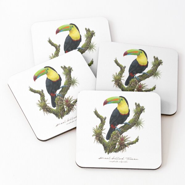Item preview, Keel-billed Toucan on Rainforest Tree designed and sold by Takeda-art.