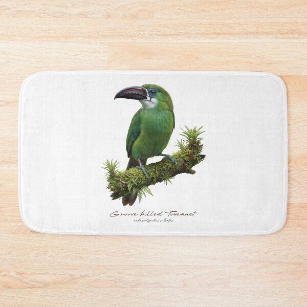 Item preview, Groove-billed Toucanet on Mossy Branch designed and sold by Takeda-art.