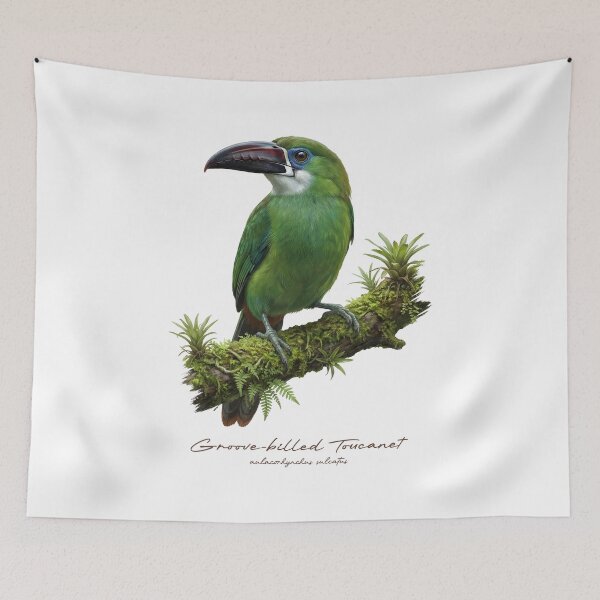 Item preview, Groove-billed Toucanet on Mossy Branch designed and sold by Takeda-art.