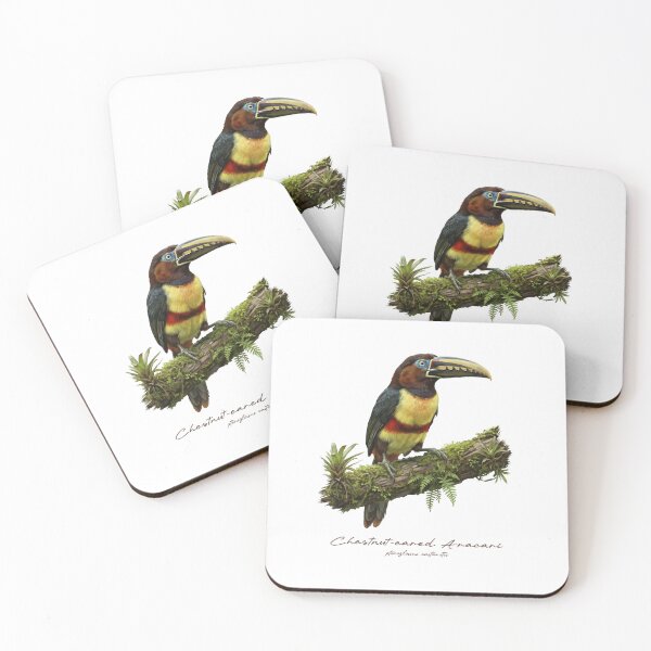 Item preview, Chestnut-eared Aracari on Mossy Branch  designed and sold by Takeda-art.
