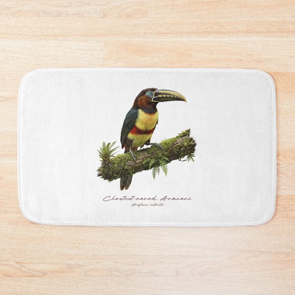 Item preview, Chestnut-eared Aracari on Mossy Branch  designed and sold by Takeda-art.