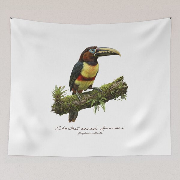 Item preview, Chestnut-eared Aracari on Mossy Branch  designed and sold by Takeda-art.
