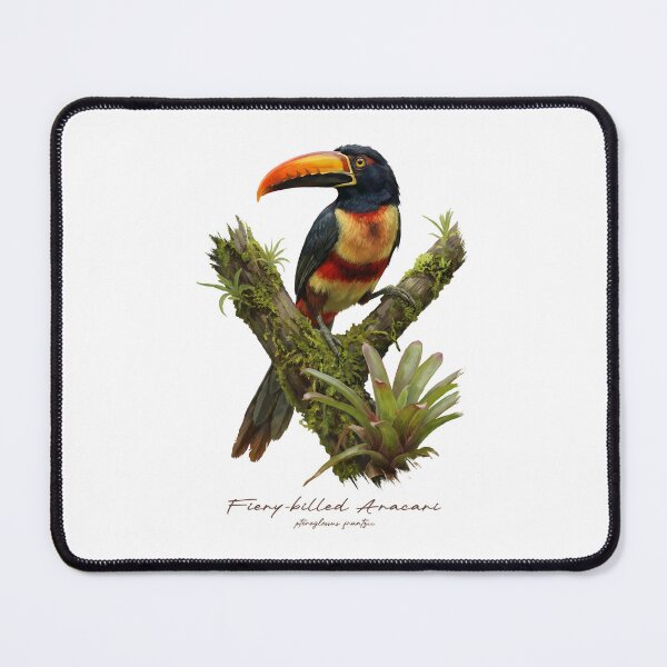 Item preview, Fiery-billed Aracari on Tropical Tree designed and sold by Takeda-art.