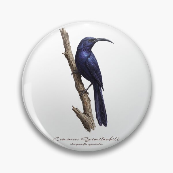 Item preview, Common Scimitarbill on Branch designed and sold by Takeda-art.