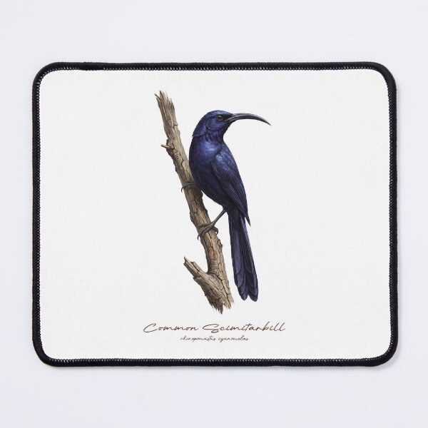 Item preview, Common Scimitarbill on Branch designed and sold by Takeda-art.