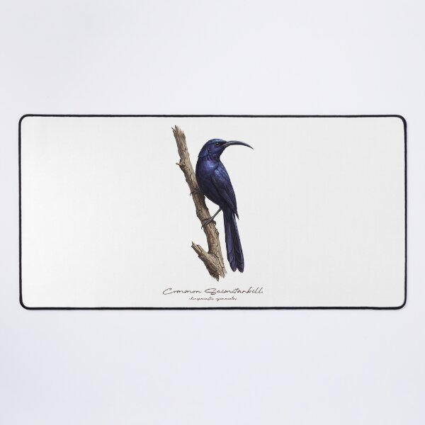 Item preview, Common Scimitarbill on Branch designed and sold by Takeda-art.