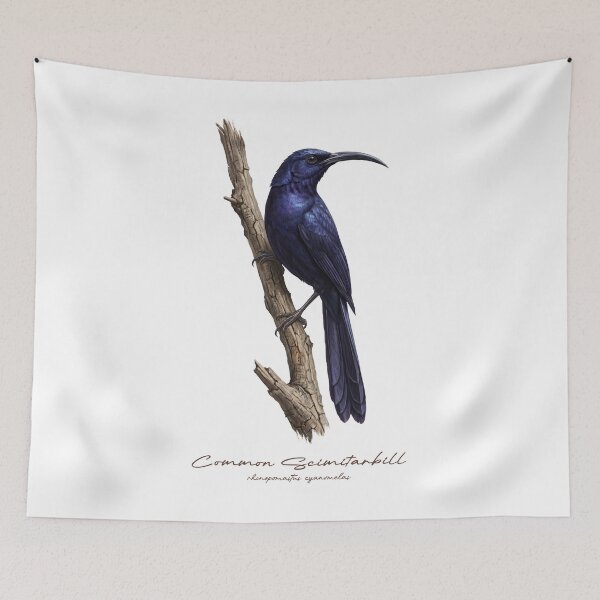 Item preview, Common Scimitarbill on Branch designed and sold by Takeda-art.