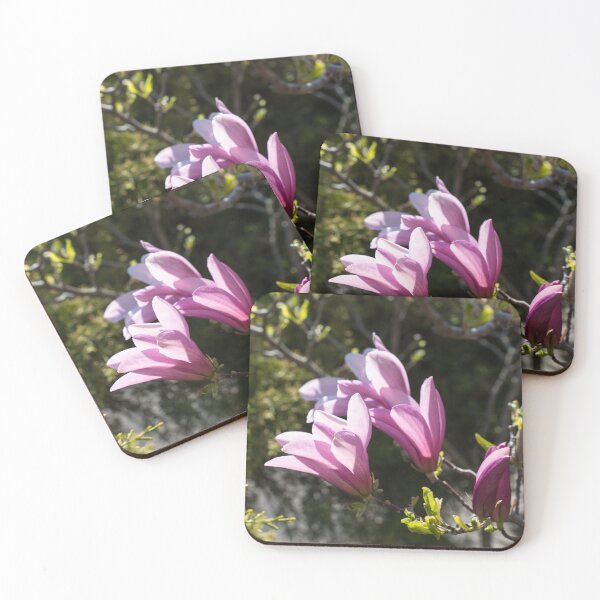 Item preview, Pink Magnolia Branch Blooming in the Sunshine designed and sold by Georgia Mizuleva.