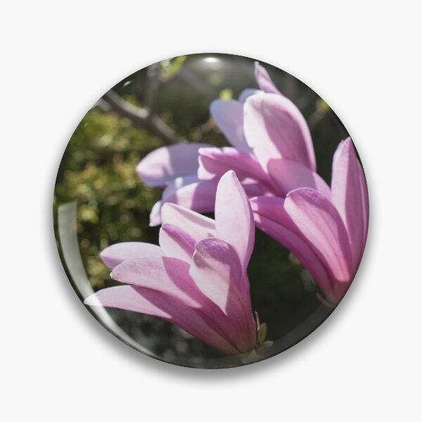 Item preview, Pink Magnolia Branch Blooming in the Sunshine designed and sold by Georgia Mizuleva.