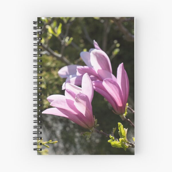 Item preview, Pink Magnolia Branch Blooming in the Sunshine designed and sold by Georgia Mizuleva.