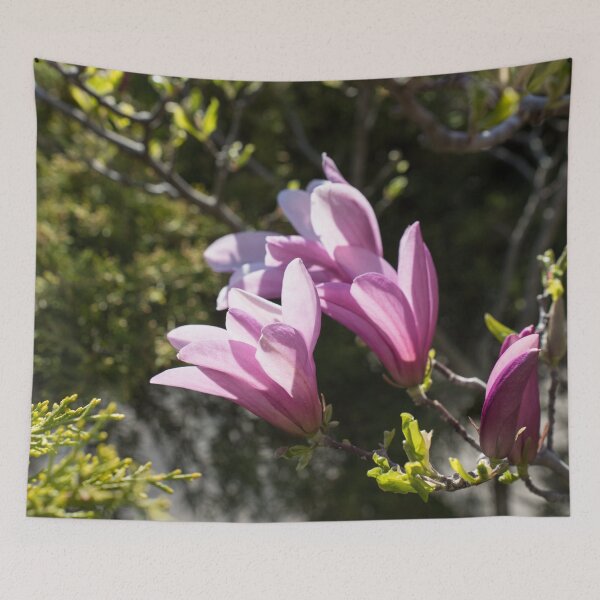 Item preview, Pink Magnolia Branch Blooming in the Sunshine designed and sold by Georgia Mizuleva.
