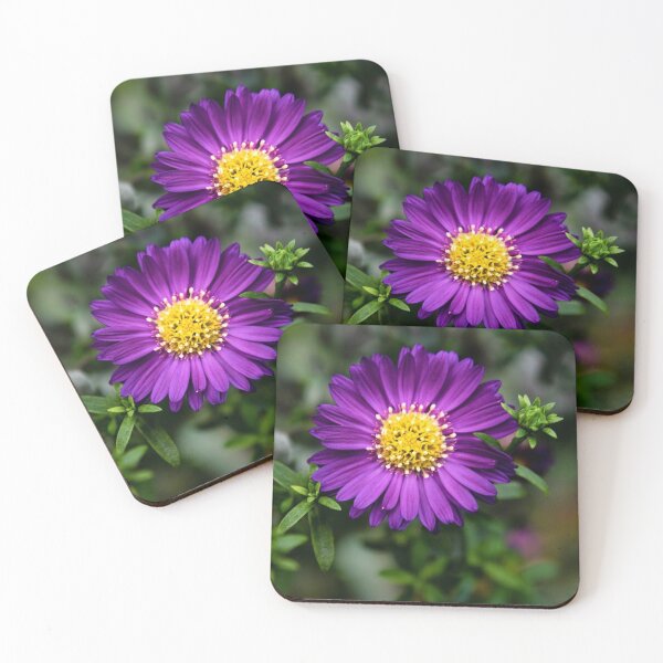 Item preview, Vibrant Purple Aster - Moody Botanical Flower Photography designed and sold by BlueMandarin.