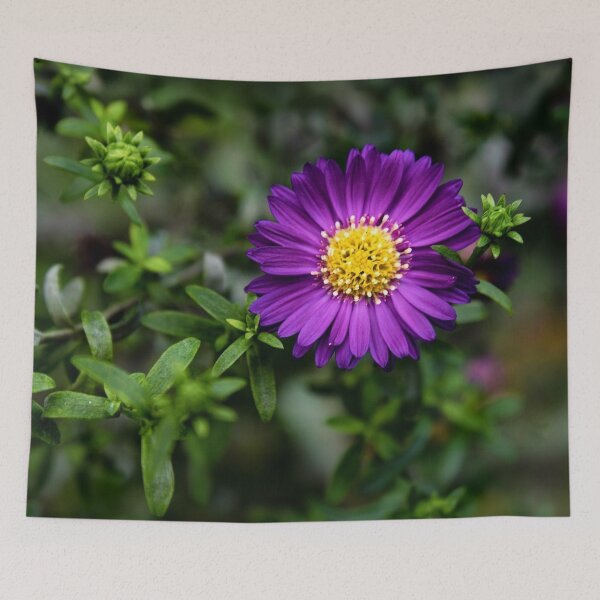 Item preview, Vibrant Purple Aster - Moody Botanical Flower Photography designed and sold by BlueMandarin.
