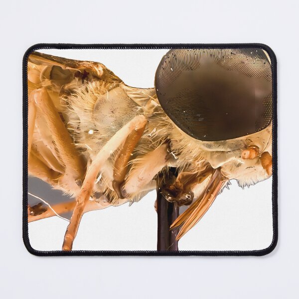 Item preview, Traub Horse Fly | Insect Art designed and sold by GammaRay.