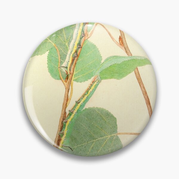 Item preview, Caterpillar Camouflage Study | Insect Art designed and sold by GammaRay.