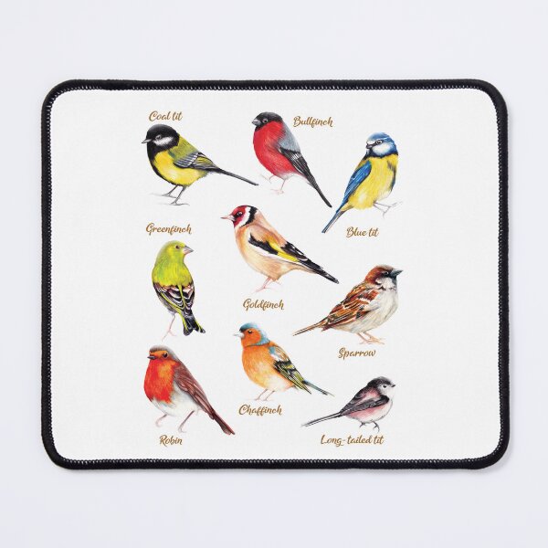 Item preview, British Garden Birds Collection designed and sold by AmandaDilworth.