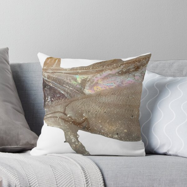 Item preview, California Beetle | Insect Art designed and sold by GammaRay.