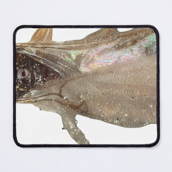 Item preview, California Beetle | Insect Art designed and sold by GammaRay.